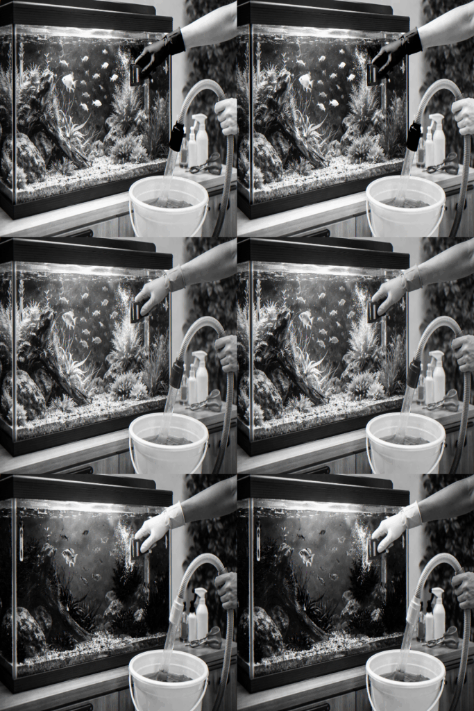 aquarium schoonmaken hoe vaak